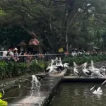 Taman Margasatwa Ragunan Tetap Buka Selama Libur Nataru 2025/2026, Cek Jadwal Lengkapnya