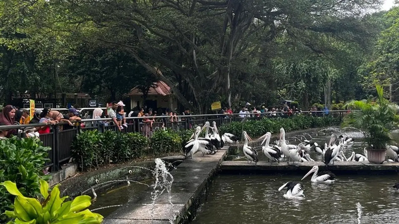 Taman Margasatwa Ragunan Tetap Buka Selama Libur Nataru 2025/2026, Cek Jadwal Lengkapnya