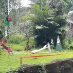 Ragunan Hadirkan Feeding Gorila Bertema Natal dan Tahun Baru, Targetkan 80 Ribu Pengunjung