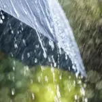 BMKG Peringatkan Potensi Hujan Lebat Saat Libur Nataru, Waspadai Wilayah Ini