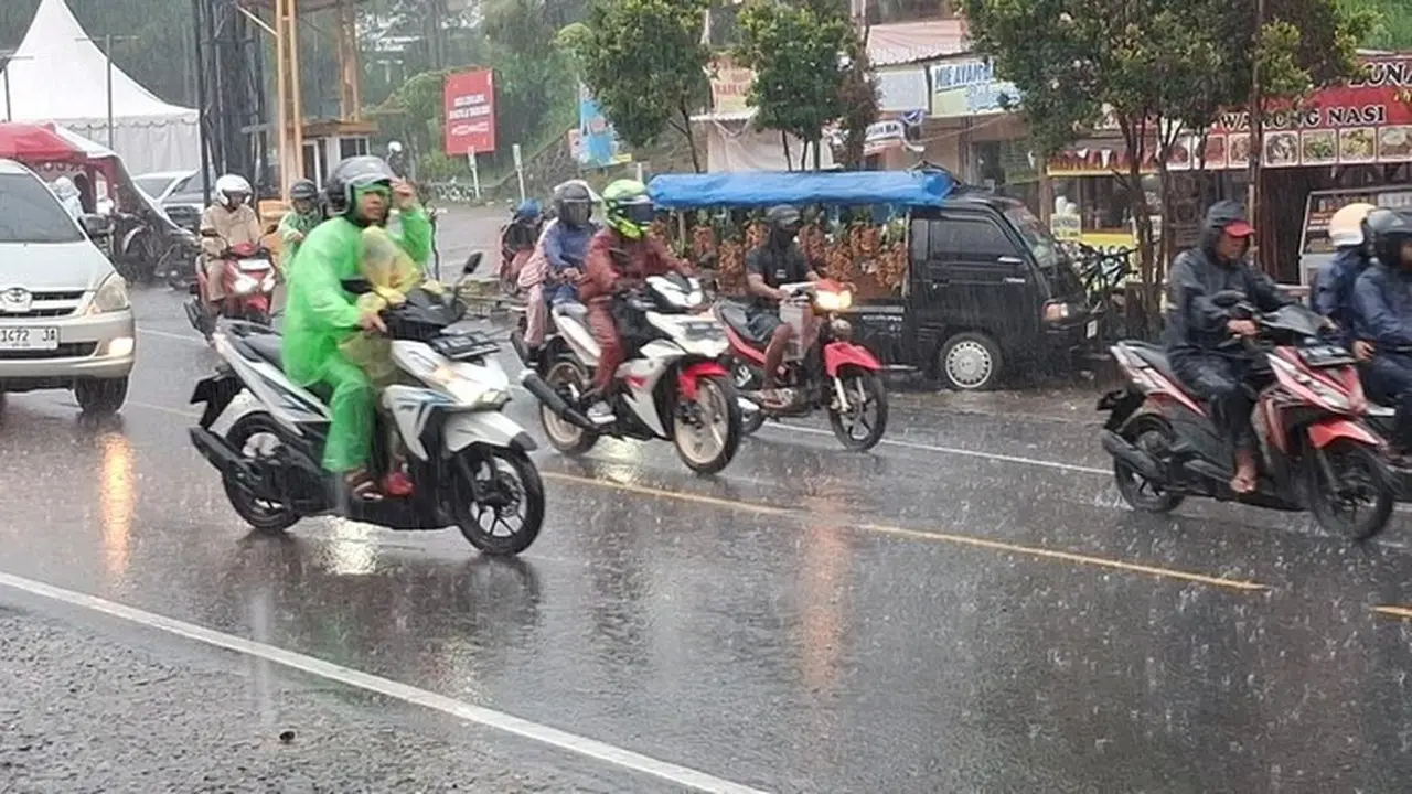 Hujan Deras Guyur Puncak Bogor, Pengendara Diimbau Waspada Bencana Longsor dan Pohon Tumbang