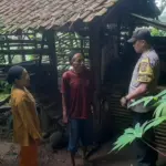 Lima Ekor Kambing Warga Parung Bogor Hilang, Jeroan Ditemukan di Kandang