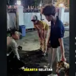 Anjing Lepas di CFD Bandung Gigit Kucing Hingga Sekarat, Pemilik Diminta Bertanggung Jawab