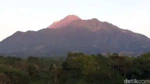 Dua Pendaki Ilegal Hilang di Gunung Merapi, Satu Ditemukan Lemas