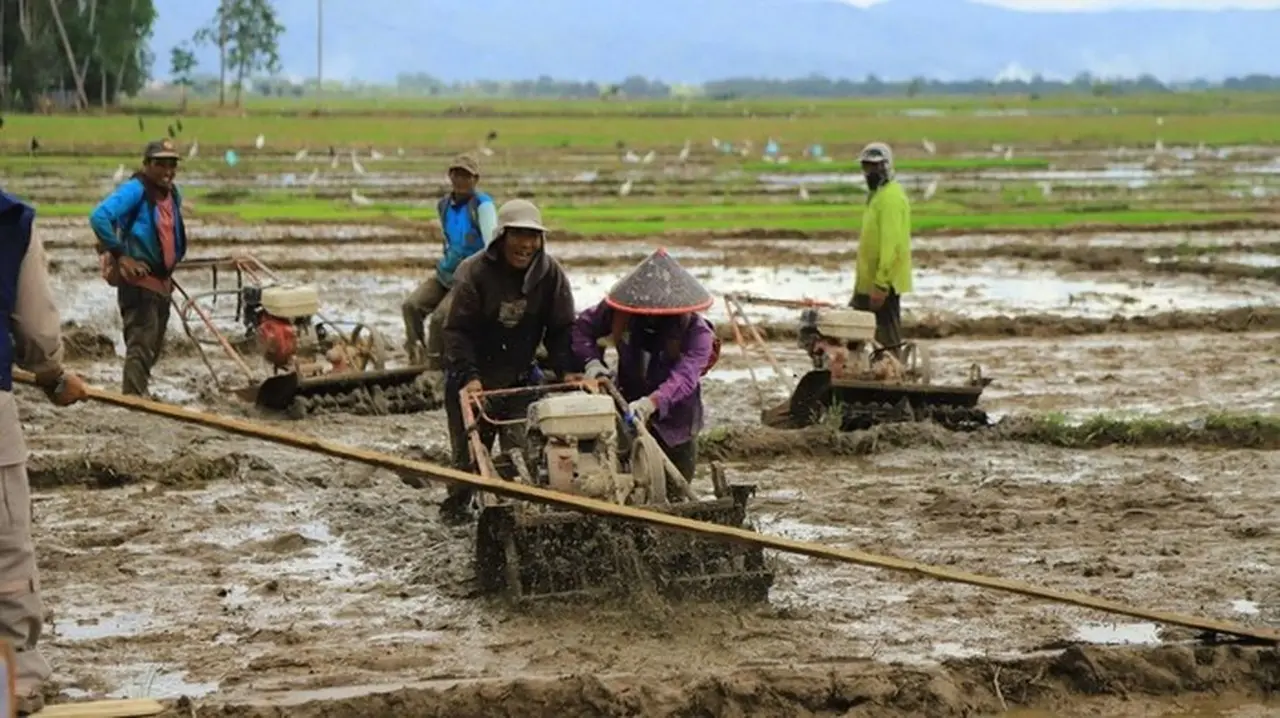 Guru Besar UGM Puji Kementan: Swasembada Beras Tercapai Lebih Cepat dari Target Presiden Guru Besar UGM Puji Kementan: Swasembada Beras Tercapai Lebih Cepat dari Target Presiden
