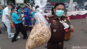 Kejari Bogor Musnahkan 5 Kg ‘Keripik Pisang Narkoba’ yang Disemprot Zat Terlarang