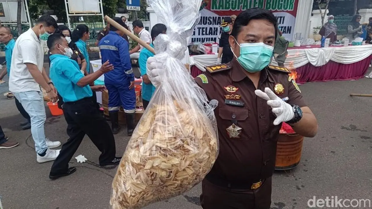 Kejari Bogor Musnahkan 5 Kg ‘Keripik Pisang Narkoba’ yang Disemprot Zat Terlarang Kejari Bogor Musnahkan 5 Kg ‘Keripik Pisang Narkoba’ yang Disemprot Zat Terlarang