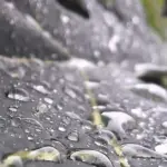 BMKG Prediksi Jakarta Diguyur Hujan Siang Ini, Waspadai Potensi Cuaca Ekstrem