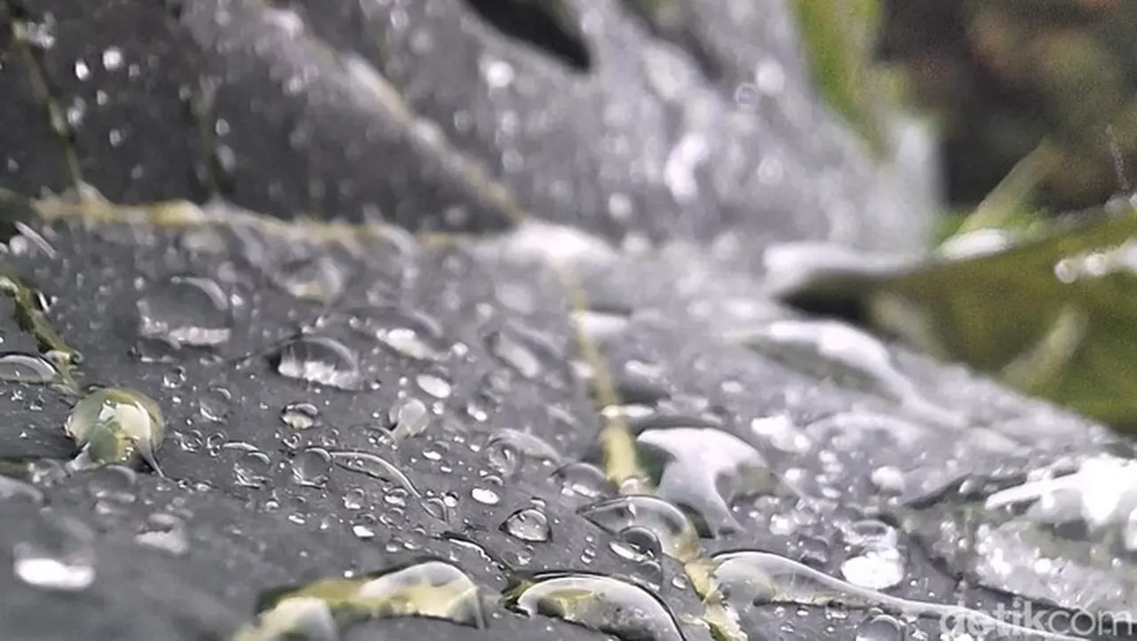 BMKG Prediksi Jakarta Diguyur Hujan Siang Ini, Waspadai Potensi Cuaca Ekstrem