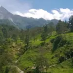 Pendaki Ilegal Hilang di Gunung Merapi, Tim SAR Perluas Area Pencarian ke Sektor Timur