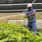 Banjir dan Longsor Sumatera: Ancaman Ekologis dan Upaya Pemulihan Warisan Alam