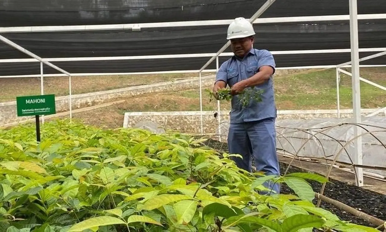 Banjir dan Longsor Sumatera: Ancaman Ekologis dan Upaya Pemulihan Warisan Alam