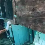 Bangkai Kapal Pelatih Valencia Ditemukan di Labuan Bajo, Jenazah Anak Fernando Teridentifikasi