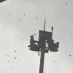 Puting Beliung Terjang Parkiran Bandara Juanda, Pohon Tumbang