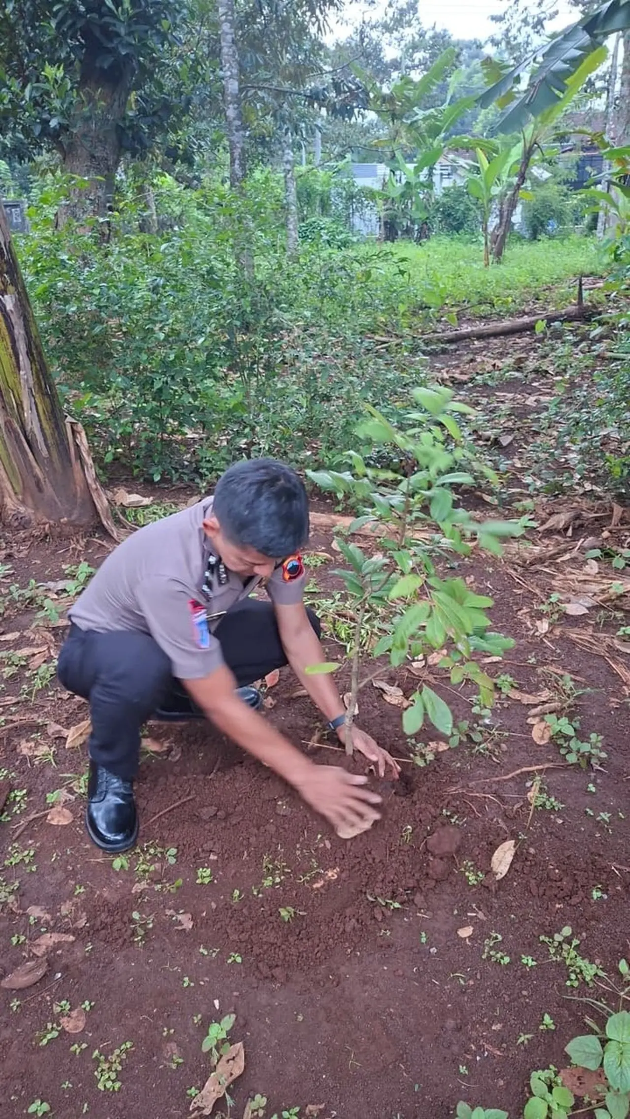 Kapolda Jateng Wajibkan 3.394 Personel Naik Pangkat Tanam 13.576 Pohon untuk Lestarikan Lingkungan