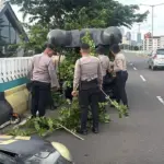 Ranting Pohon di JLNT Antasari Mengganggu, Polda Metro Jaya Turun Tangan Rapikan