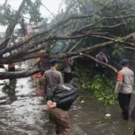 Pohon Tumbang dan Banjir Melanda Tanjung Priok, Brimob Polda Metro Jaya Turun Tangan
