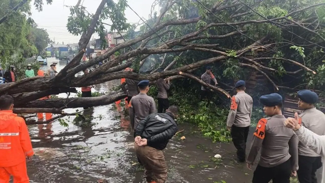 Pohon Tumbang dan Banjir Melanda Tanjung Priok, Brimob Polda Metro Jaya Turun Tangan Pohon Tumbang dan Banjir Melanda Tanjung Priok, Brimob Polda Metro Jaya Turun Tangan