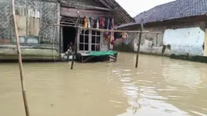 Delapan Kecamatan di Pandeglang Terendam Banjir Akibat Hujan Deras Mengguyur Wilayah