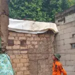 Pohon Tumbang Timpa Tiga Rumah Warga Ciseeng Bogor Akibat Hujan dan Angin Kencang