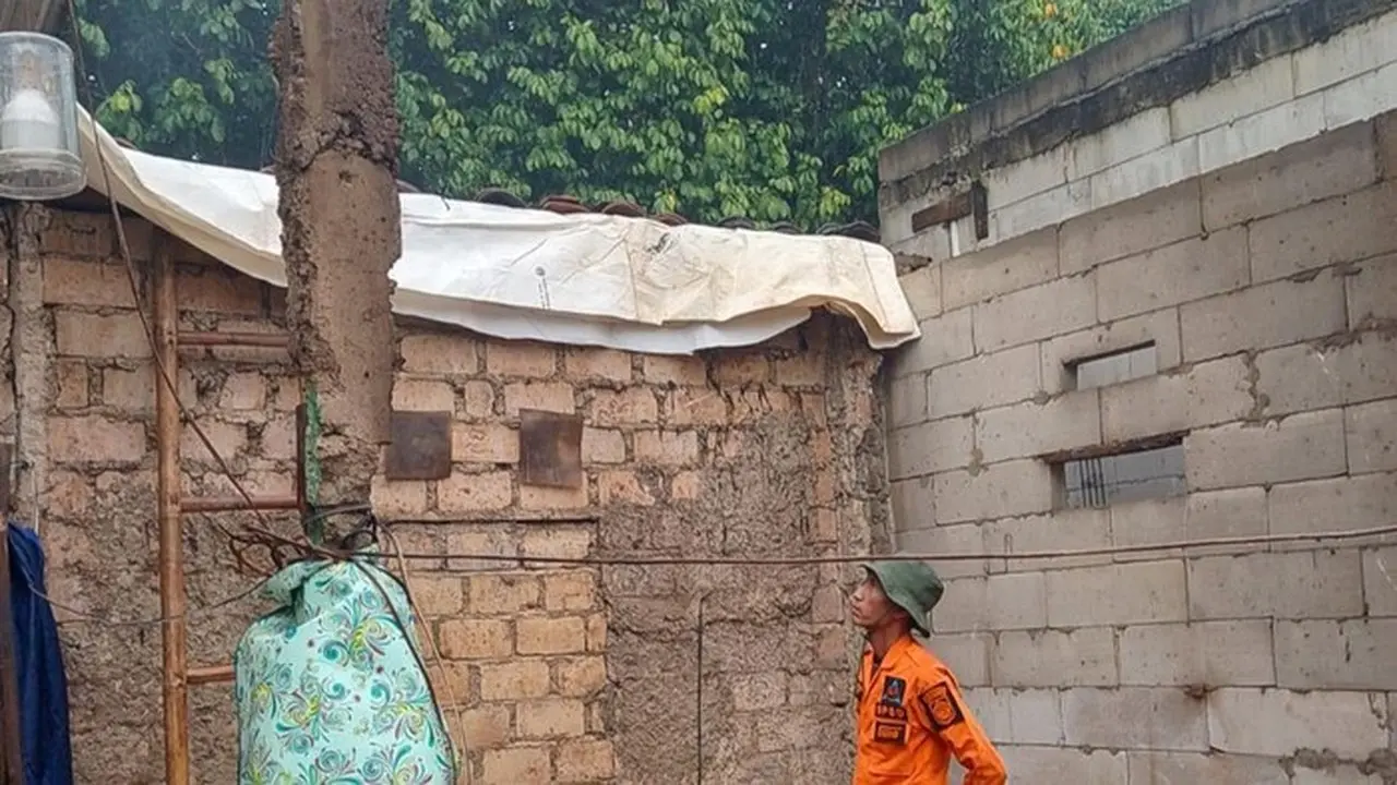 Pohon Tumbang Timpa Tiga Rumah Warga Ciseeng Bogor Akibat Hujan dan Angin Kencang