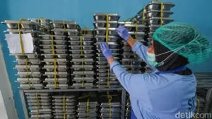 803 Warga Grobogan Diduga Keracunan Menu Ayam Program Makan Bergizi Gratis