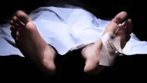 Pemuda di Bogor Tewas Tersengat Listrik Saat Hendak Ambil Dahan Pohon Salam