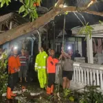 Angin Puting Beliung Terjang Probolinggo, 8 Rumah Rusak dan Pohon Tumbang