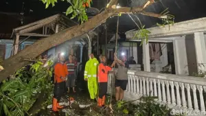 Angin Puting Beliung Terjang Probolinggo, 8 Rumah Rusak dan Pohon Tumbang