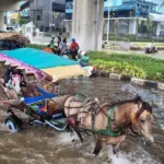 Banjir Kelapa Gading: Motor Mogok, Delman Melenggang di Tengah Genangan Air 30 Cm