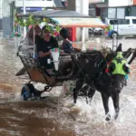 Banjir Meluas di Jakarta: 48 RT dan 29 Ruas Jalan Tergenang Akibat Hujan Deras