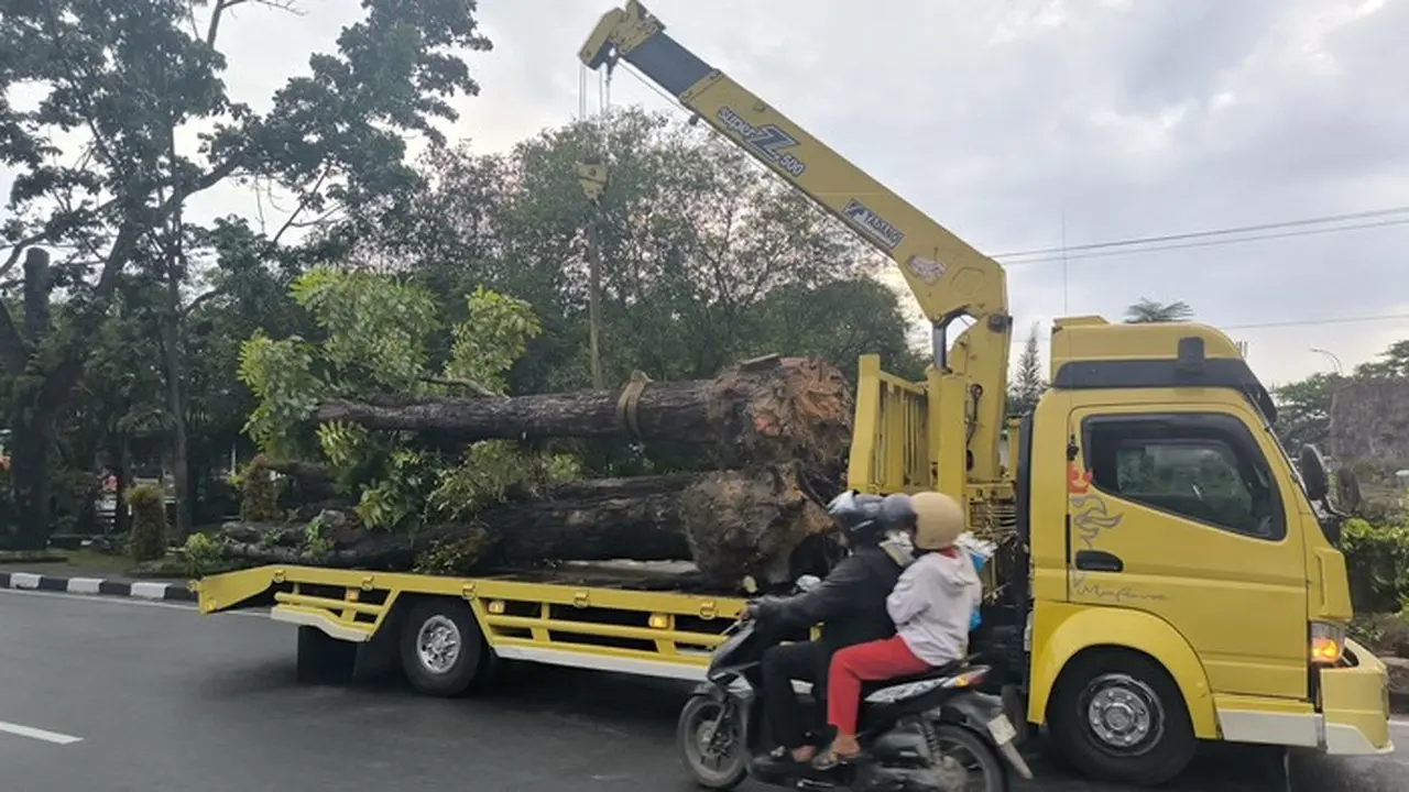 Wali Kota Pekanbaru Terbitkan Surat Edaran Larangan Penebangan Pohon Demi Kelestarian Lingkungan Wali Kota Pekanbaru Terbitkan Surat Edaran Larangan Penebangan Pohon Demi Kelestarian Lingkungan