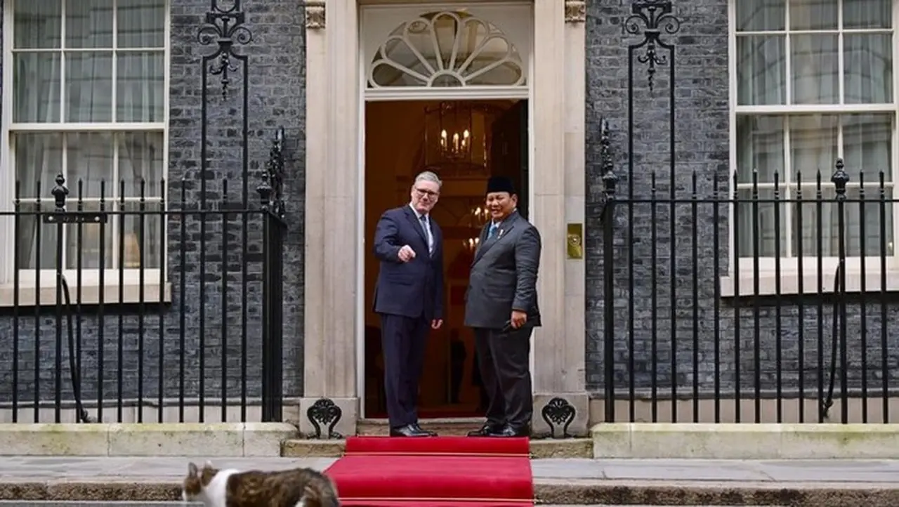 Prabowo Disambut Larry the Cat di Downing Street, Jalin Keakraban dengan PM Inggris Prabowo Disambut Larry the Cat di Downing Street, Jalin Keakraban dengan PM Inggris