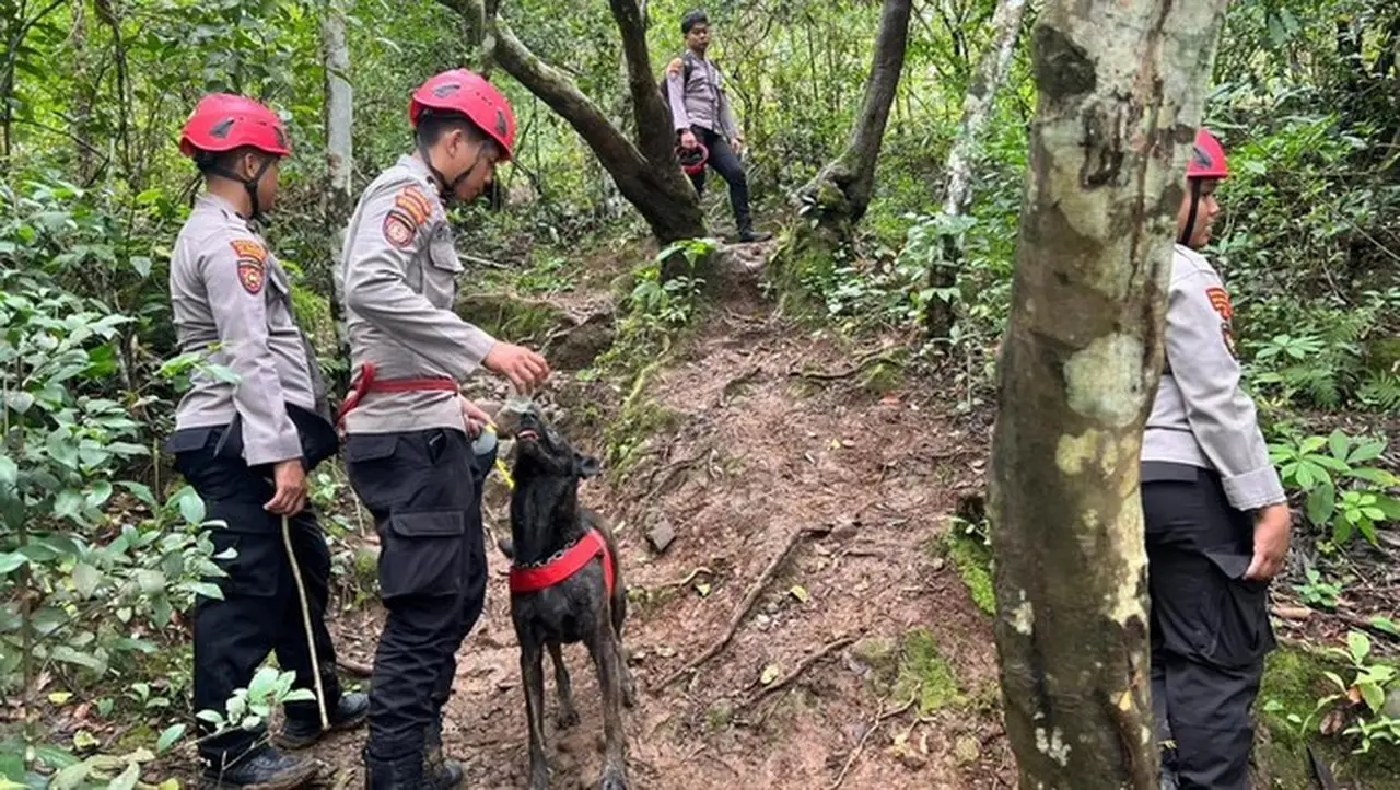 Polda Sulsel Kerahkan Anjing Pelacak K-9 Cari Korban Pesawat ATR 42-500 di Pangkep