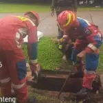 Ular Kobra Gemparkan Lapangan Banteng Jakarta Pusat, Damkar Berhasil Evakuasi