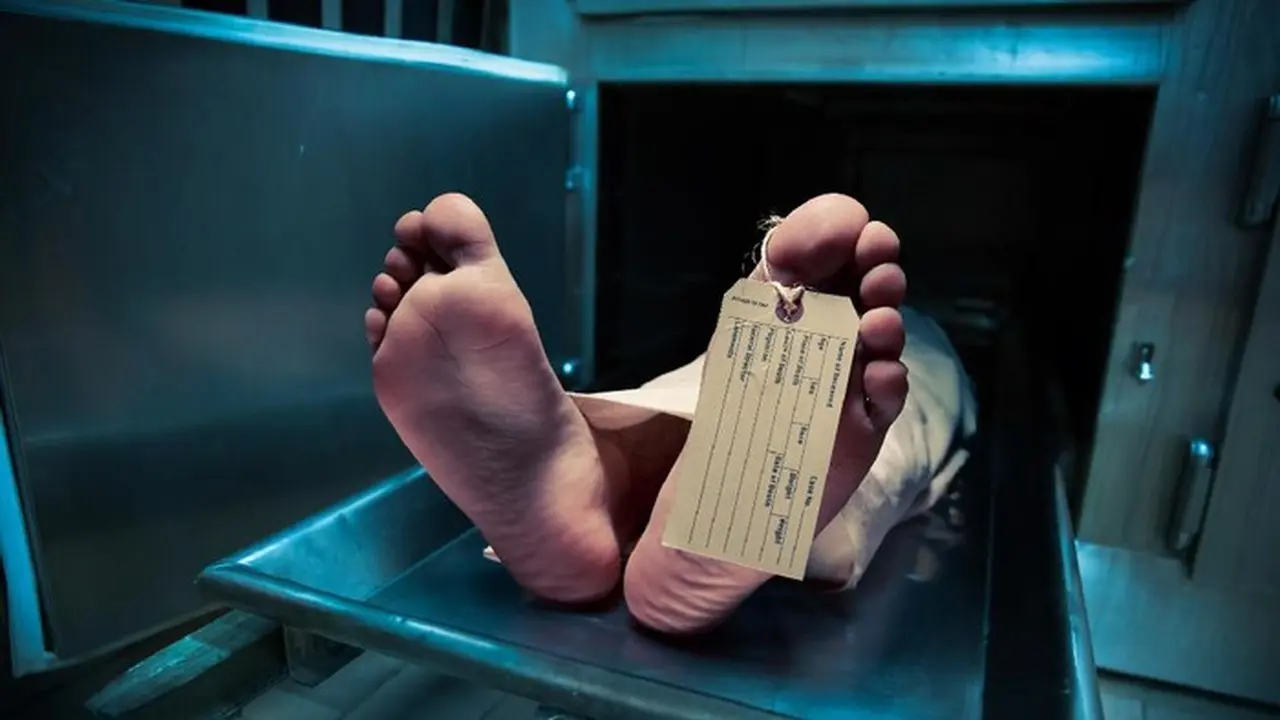 Geger Penemuan Jenazah Pria Tersangkut di Kali Cililitan Jakarta Timur Geger Penemuan Jenazah Pria Tersangkut di Kali Cililitan Jakarta Timur