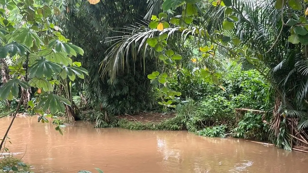 Buaya ‘Lisa’ 1,5 Meter Muncul di Belakang SMAN 5 Depok, Warga Khawatir