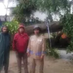 Pohon Beringin 15 Meter Tumbang Timpa Kolam Renang Akibat Hujan Deras di Ciputat