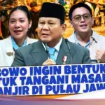 Presiden Prabowo Bentuk Tim Kajian Atasi Banjir Rutin di Pulau Jawa