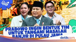 Presiden Prabowo Bentuk Tim Kajian Atasi Banjir Rutin di Pulau Jawa