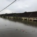 Banjir Kabupaten Tangerang Meluas, 7 Kecamatan Terendam, 14.000 KK Terdampak