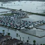 Banjir Bekasi Meluas: 5.168 Hektare Sawah Terendam, Petani Hadapi Ancaman Gagal Panen