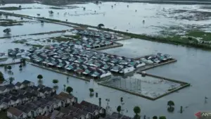 Banjir Bekasi Meluas: 5.168 Hektare Sawah Terendam, Petani Hadapi Ancaman Gagal Panen