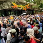 Ribuan Wisatawan Serbu Bandung Zoo di Hari Terakhir Tiket Gratis Akhir Tahun