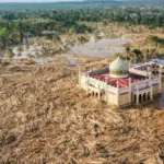 28 Perusahaan Dicabut Izin Pasca Bencana Sumatera, Satgas PKH Usut Pelanggaran Pidana