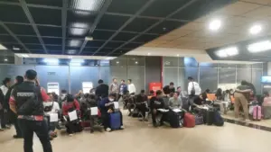 36 WNI Korban Scam Kamboja Tiba di Tanah Air, Pemulangan Gelombang Pertama 2026