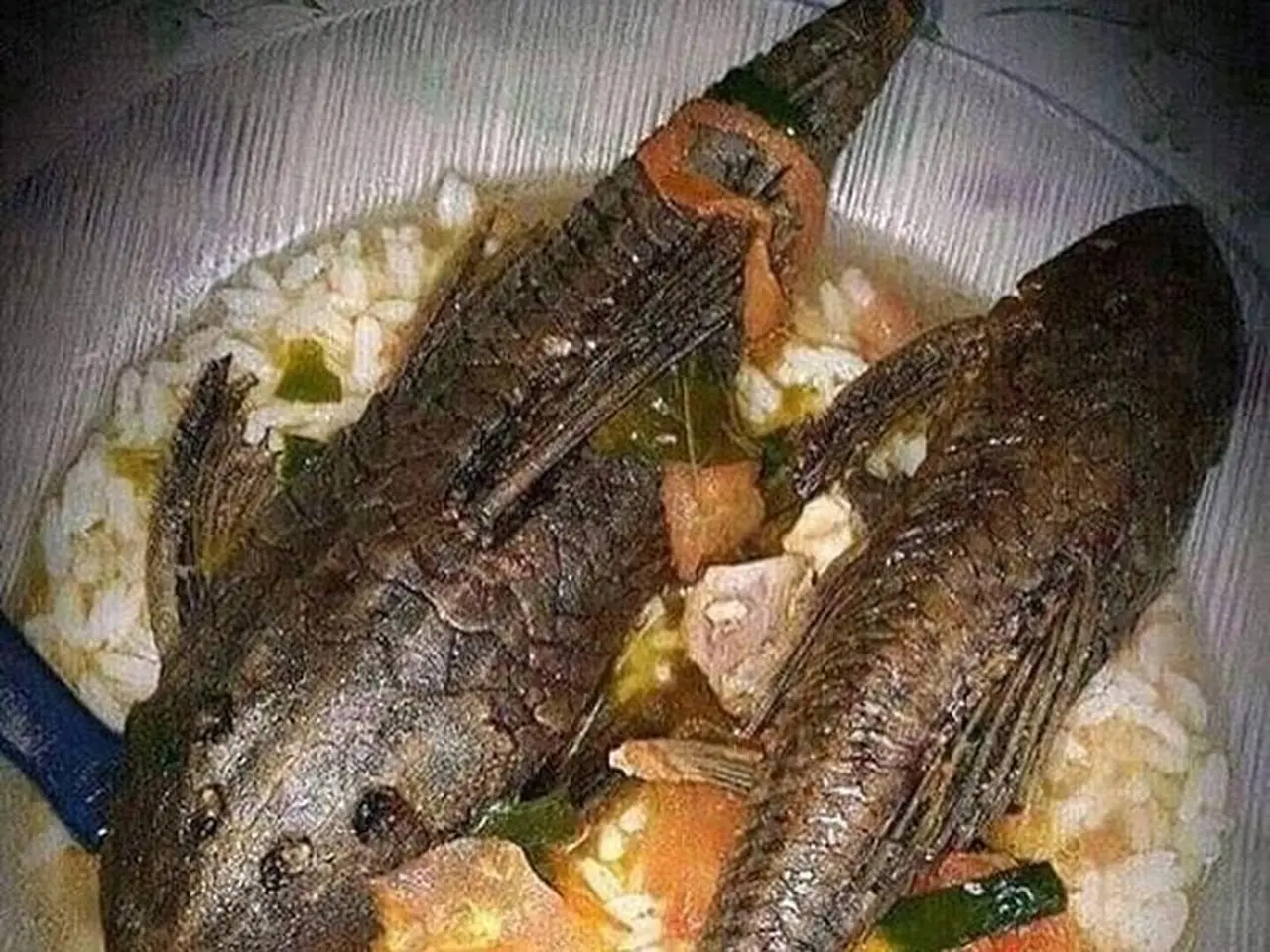 Pemprov DKI Jakarta Larang Konsumsi Ikan Sapu-sapu dari Kali Tercemar Pemprov DKI Jakarta Larang Konsumsi Ikan Sapu-sapu dari Kali Tercemar