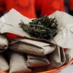 Polres Serang Ungkap Jaringan Ganja Lintas Provinsi, Tiga Bandar Dibekuk dengan 14 Kg Barang Bukti Polres Serang Ungkap Jaringan Ganja Lintas Provinsi, Tiga Bandar Dibekuk dengan 14 Kg Barang Bukti