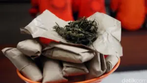 Polres Serang Ungkap Jaringan Ganja Lintas Provinsi, Tiga Bandar Dibekuk dengan 14 Kg Barang Bukti