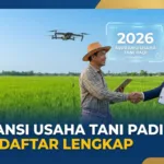 Asuransi Usaha Tani Padi 2026: Cara Daftar Lengkap